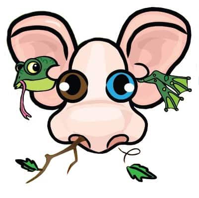 Bright cartoon mouse with large eyes holding a green frog and a green dragonfly, emphasizing safety themes for children in the "Don’t Stick Don’t Stuff" book.