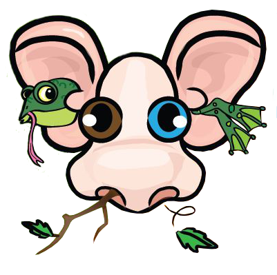 Don't Stick Sticks Up Your Nose, Don't Stuff Stuff In Your Ears!