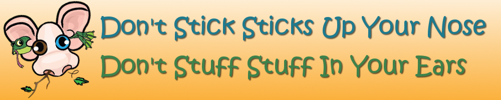 Don't Stick Sticks In Your Nose, Don't Stuff Stuff In Your Ears