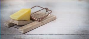 A cheese wedge caught in a mousetrap, symbolizing the importance of safety in children's activities and education about hazards.