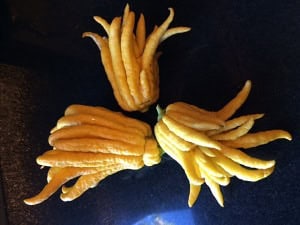 Fruits arranged to resemble a spider or creature, emphasizing creativity and healthy snacks for kids.